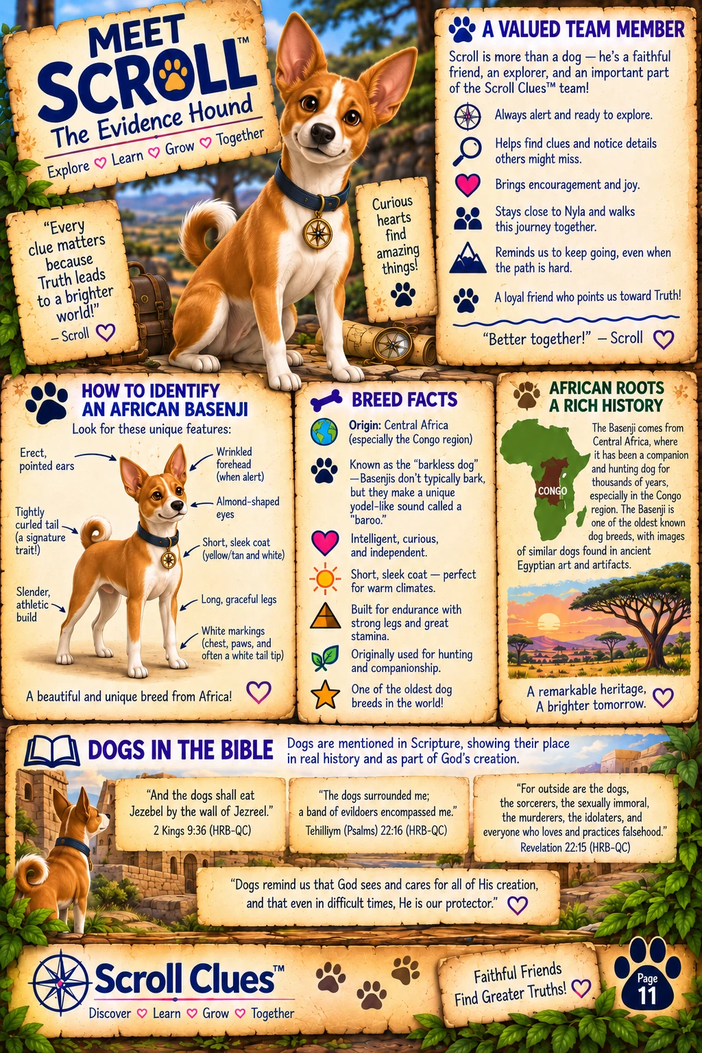 Page 11